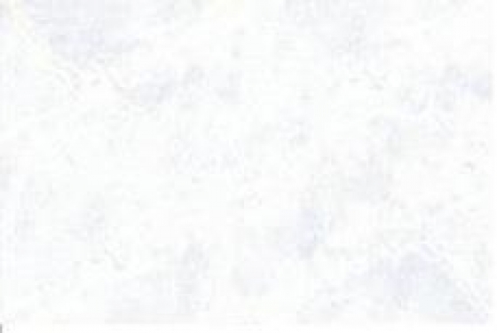1003 L