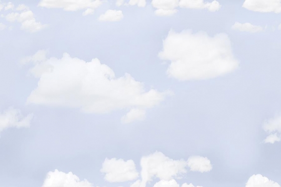 1195_LT_PLAIN
