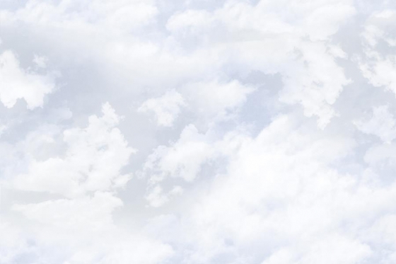 1196_LT_PLAIN