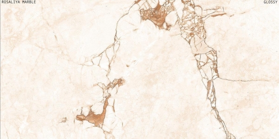 ROSALIYA MARBLE
