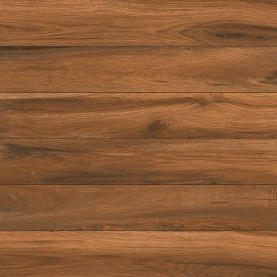 3072-Eastern walnut NEW 1(28-11)
