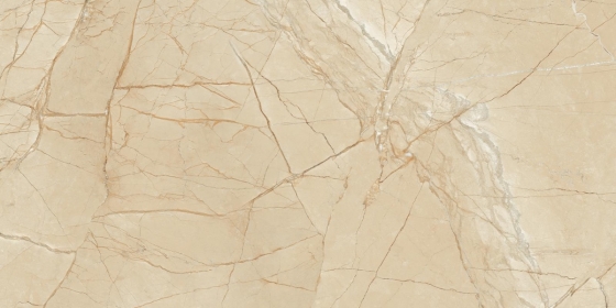 TREMPOID BEIGE_R1