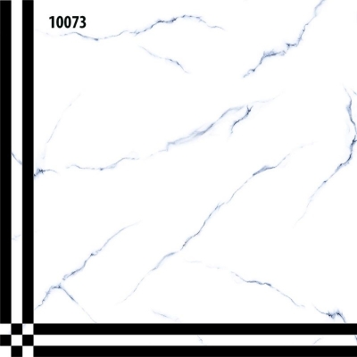 10073