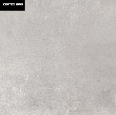 CORTEX GRIS  